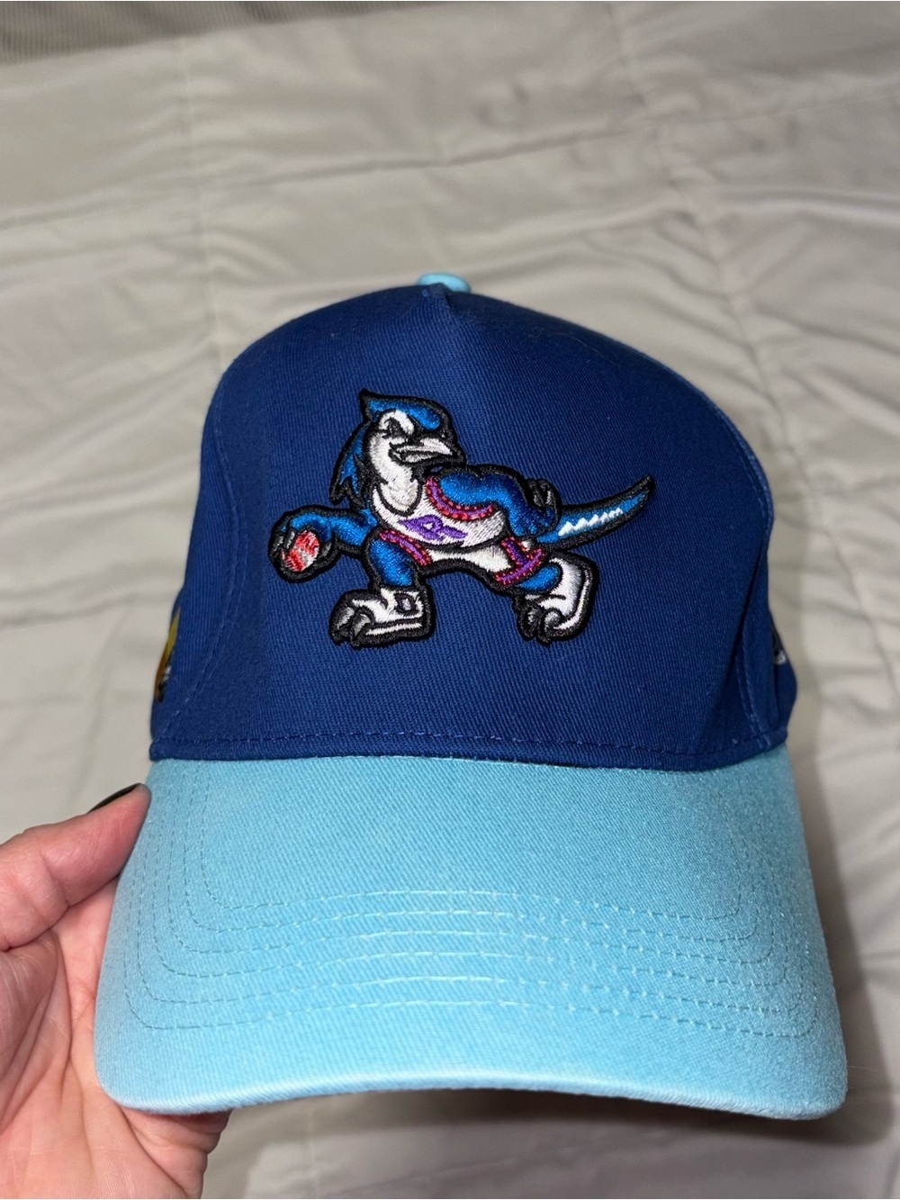 Reference Toronto Mash-up hat Rapjays Raptors Blue Jays Canada baseball cap